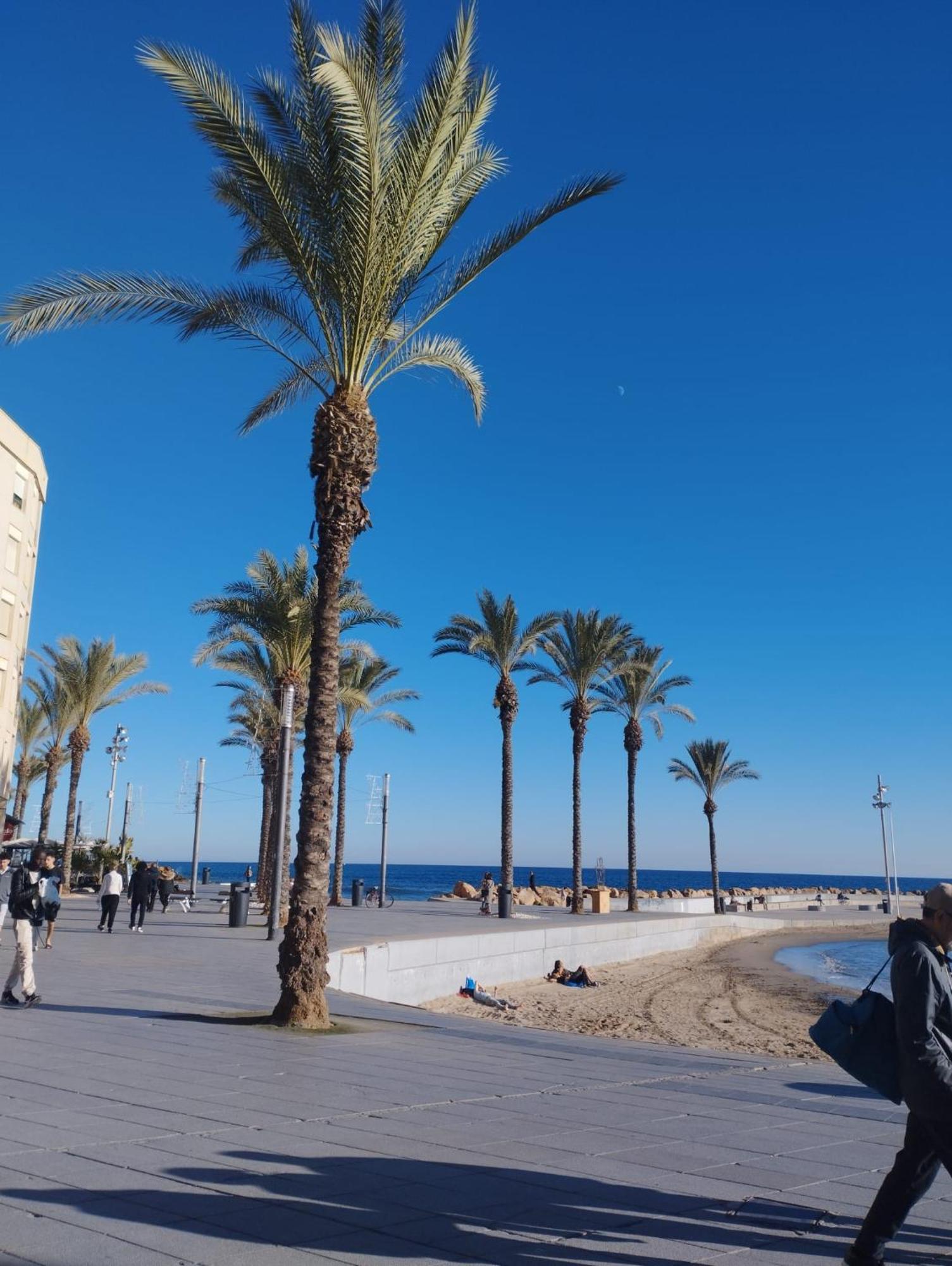 Просторная Квартира Рядом С Морем В Хорошем Районе Torrevieja Zewnętrze zdjęcie